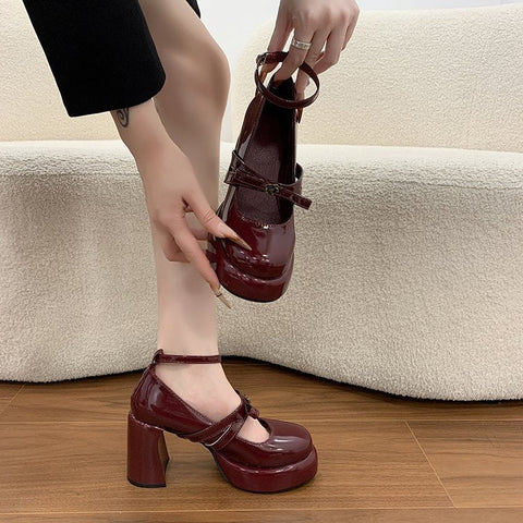 French Style Super High Heel Retro Mary Janes For Women  2026 Spring New Fashion Versatile Platform Block Heel Pumps