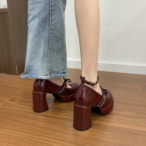 French Style Super High Heel Retro Mary Janes For Women  2026 Spring New Fashion Versatile Platform Block Heel Pumps