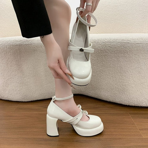 French Style Super High Heel Retro Mary Janes For Women  2026 Spring New Fashion Versatile Platform Block Heel Pumps